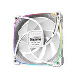 Squama 2503W-C (3Pack)  (White)