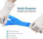 Basic Synmax Vinyl Exam Gloves, 4 Mil – Disposable - Latex-Free & Powder-Free